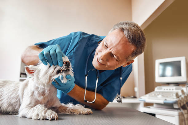 Best Emergency Dental Surgery in Weatherford, OK